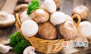 新鲜白蘑菇怎么做好吃 怎么做新鲜白蘑菇吃