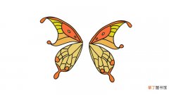 蝴蝶翅膀简笔画 蝴蝶翅膀的画法