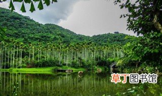 中国三大热带雨林 中国三大热带雨林是哪里？