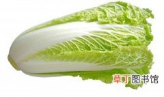 大白菜最晚几月收获 大白菜种植历史