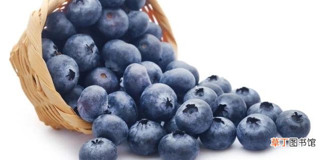 如何判断蓝莓是否新鲜 蓝莓冷藏好还是常温好吃呢