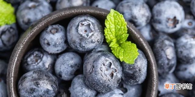 如何判断蓝莓是否新鲜 蓝莓冷藏好还是常温好吃呢