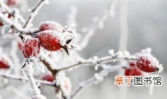 立冬节气推荐语 二十四节气之关于立冬的谚语大全