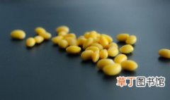黄豆怎么种水培小盆栽 黄豆水培小盆栽养法