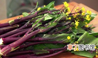 紫菜苔的做法 如何做紫菜苔