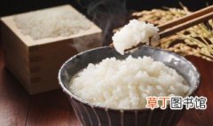 米饭怎么储存 如何保存米饭