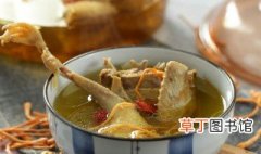 虫草花鸽子汤的做法 虫草花鸽子汤的烹饪方法