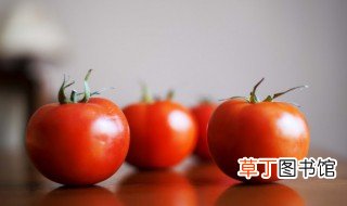 西红柿花盆栽怎么种 西红柿花盆怎样种植方法