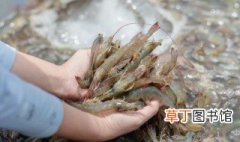 米酒炒海虾 如何做米酒炒海虾