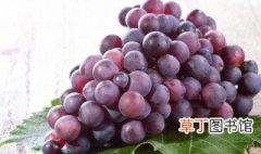 中国种植葡萄始于哪个朝代 中国种植葡萄是始于哪个朝代