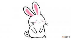 可爱的小胖兔简笔画