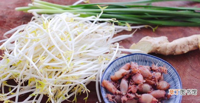 海兔绿豆芽小炒的做法教程 海兔的营养价值是什么