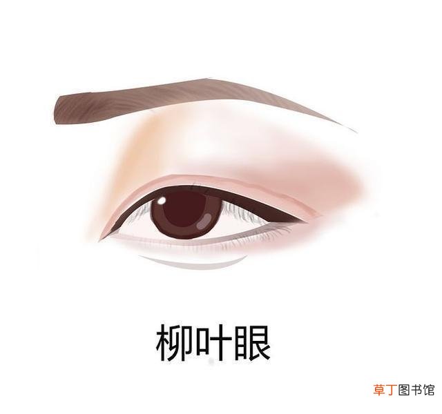 中国人常见7种眼型图片 男女二十种眼形大全图解