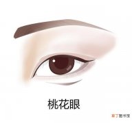 中国人常见7种眼型图片 男女二十种眼形大全图解