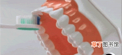 巴氏刷牙法的动图解说 巴氏刷牙正确方法怎么做