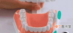 巴氏刷牙法的动图解说 巴氏刷牙正确方法怎么做