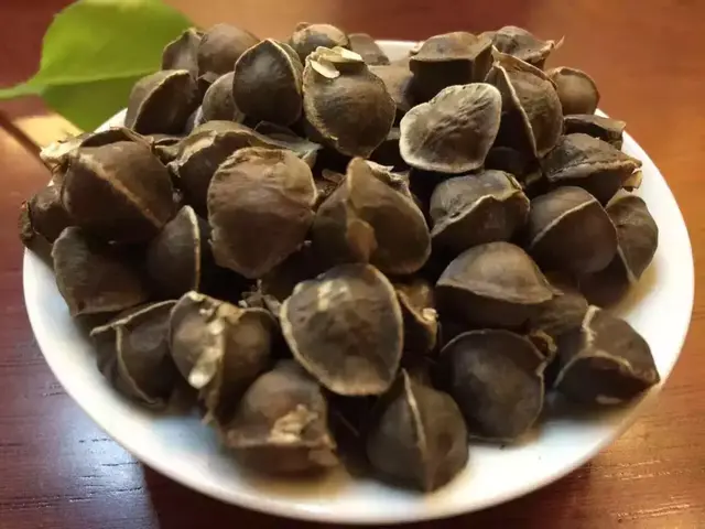辣木籽的6大功效 辣木籽怎么吃是正确的用量
