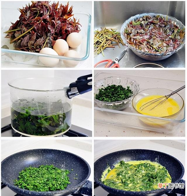 香椿清鲜健脾的16种制作方法 香椿水饺馅的做法大全