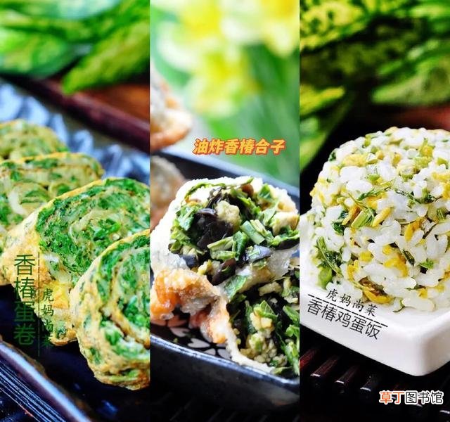 香椿清鲜健脾的16种制作方法 香椿水饺馅的做法大全