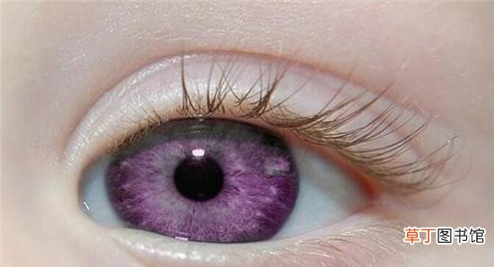 盘点人类中最稀有的3种瞳色图片 琥珀瞳和棕色瞳的区别有什么