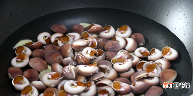 家常盐水香螺做法图解 香螺的清洗方法和吃法是什么
