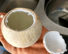 椰子饭的做法家常教程（椰子饭的食材及家常做法)