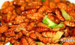 蚕蛹的食用方法及做法教程 蚕蛹的正确吃法怎么吃