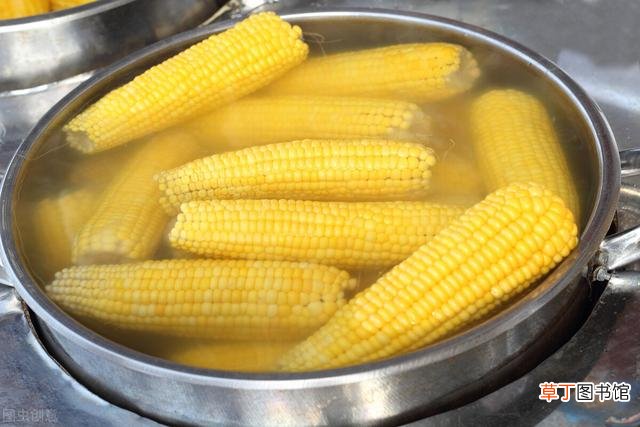 煮玉米的时间及烹饪小技巧 冷水下锅的玉米煮多久能熟