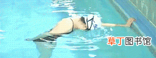 自由泳换气的练习方法 自由泳换气正确方法怎么游