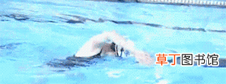 自由泳换气的练习方法 自由泳换气正确方法怎么游