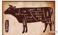 牛上脑的具体部位图 牛上脑是哪个部位的肉