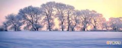 描写初冬的公园景象 描写初冬的公园景象柚子树