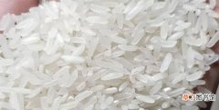 粳米的食材特点及产地介绍 粳米是什么米?粳米产地在哪