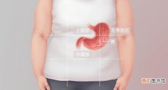 详细介绍胃在人体什么位置 人体的胃在哪个位置