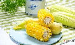 玉米的营养价值及功效 玉米是碳水化合物吗能减肥吗