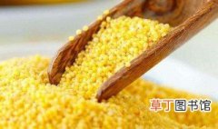 如何挑选优质黄小米 挑选优质黄小米的方法介绍