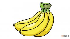 香蕉简笔画 香蕉的画法步骤