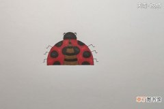 甲壳虫的画法 甲壳虫的画法步骤
