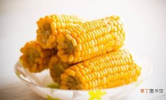 如何让玉米长时间保鲜 冬天玉米可以放多久