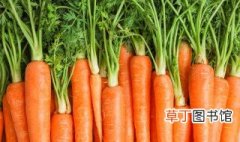 胡萝卜做什么菜好吃 胡萝卜的烹饪方法