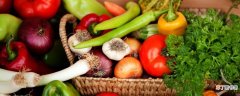 推荐8种冬季必吃的养生蔬菜