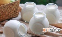 发酵酸奶的乳酸菌可以直接吃吗 做酸奶的乳酸菌粉可以直接吃