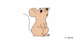 2020老鼠简笔画2020老鼠简笔画的画法