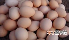 土鸡蛋和饲料鸡蛋的区别 你是否了解呢