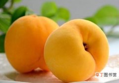 哪种桃子的营养价值高 桃子季节是几月份食物水果