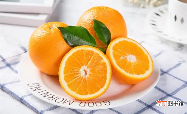 橙子在零下几度会冻坏_橙子零下10度会冻坏吗