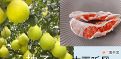 柚子树施肥掌握这六肥 柚子施什么肥最甜