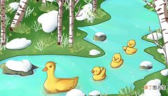 小鸭子和小公鸡的故事 小鸭子和小公鸡的故事是什么