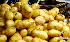土豆的营养价值及6大功效 土豆的功效和作用是什么