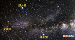 详细介绍牛郎星 牛郎星属于什么星座啊